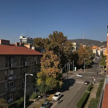 Apartamento Hangulatos Társasházi Belvárosában *